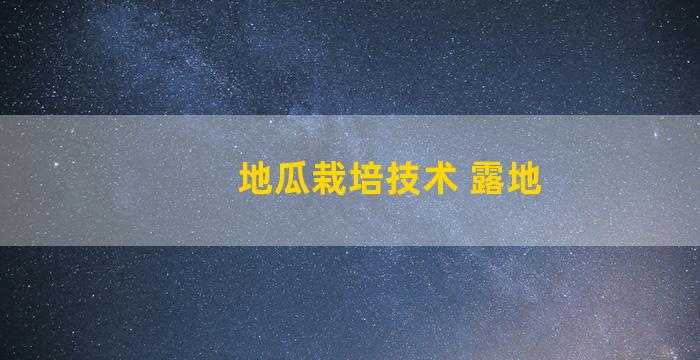 地瓜栽培技术 露地